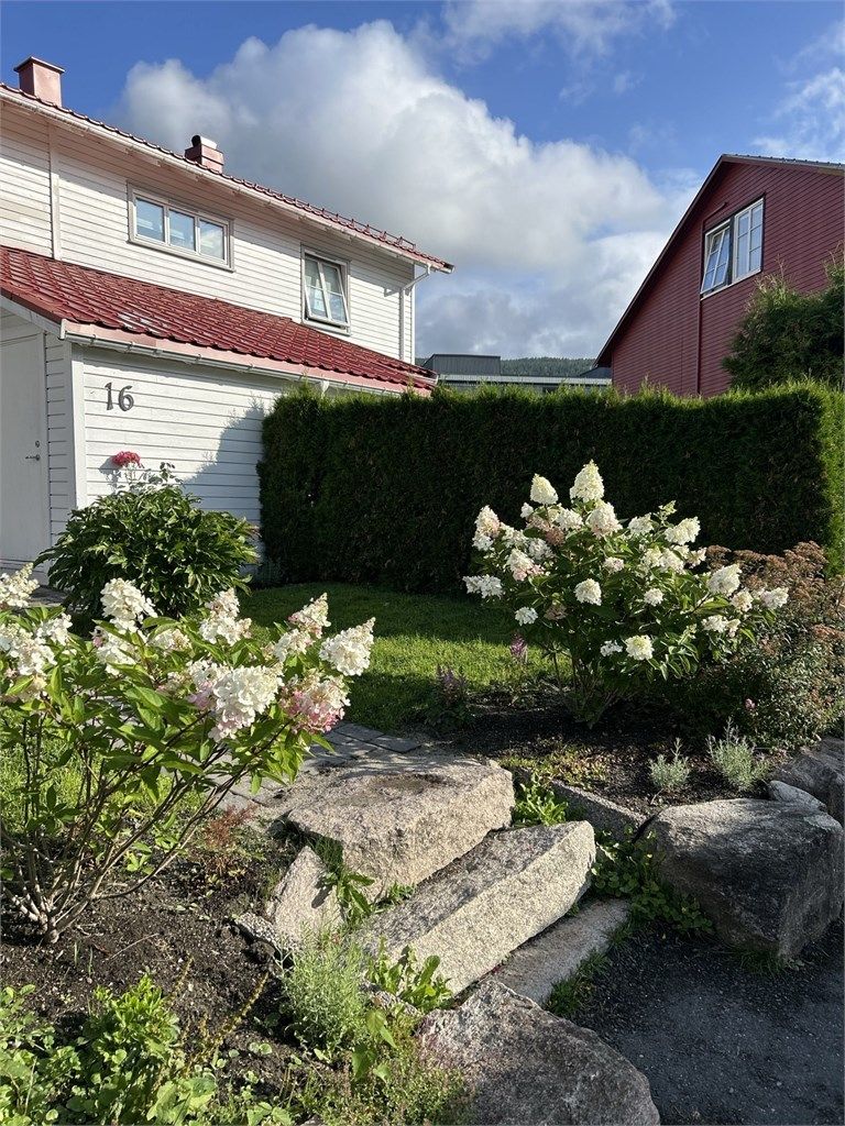 Hage - Selgers bilde