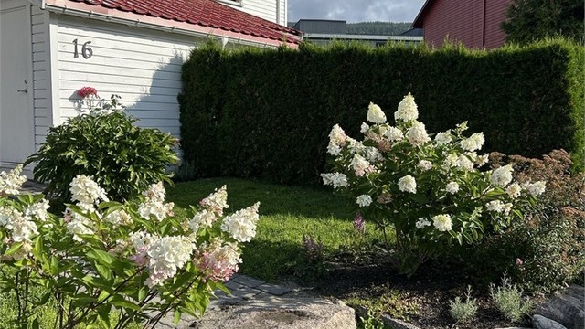 Hage - Selgers bilde