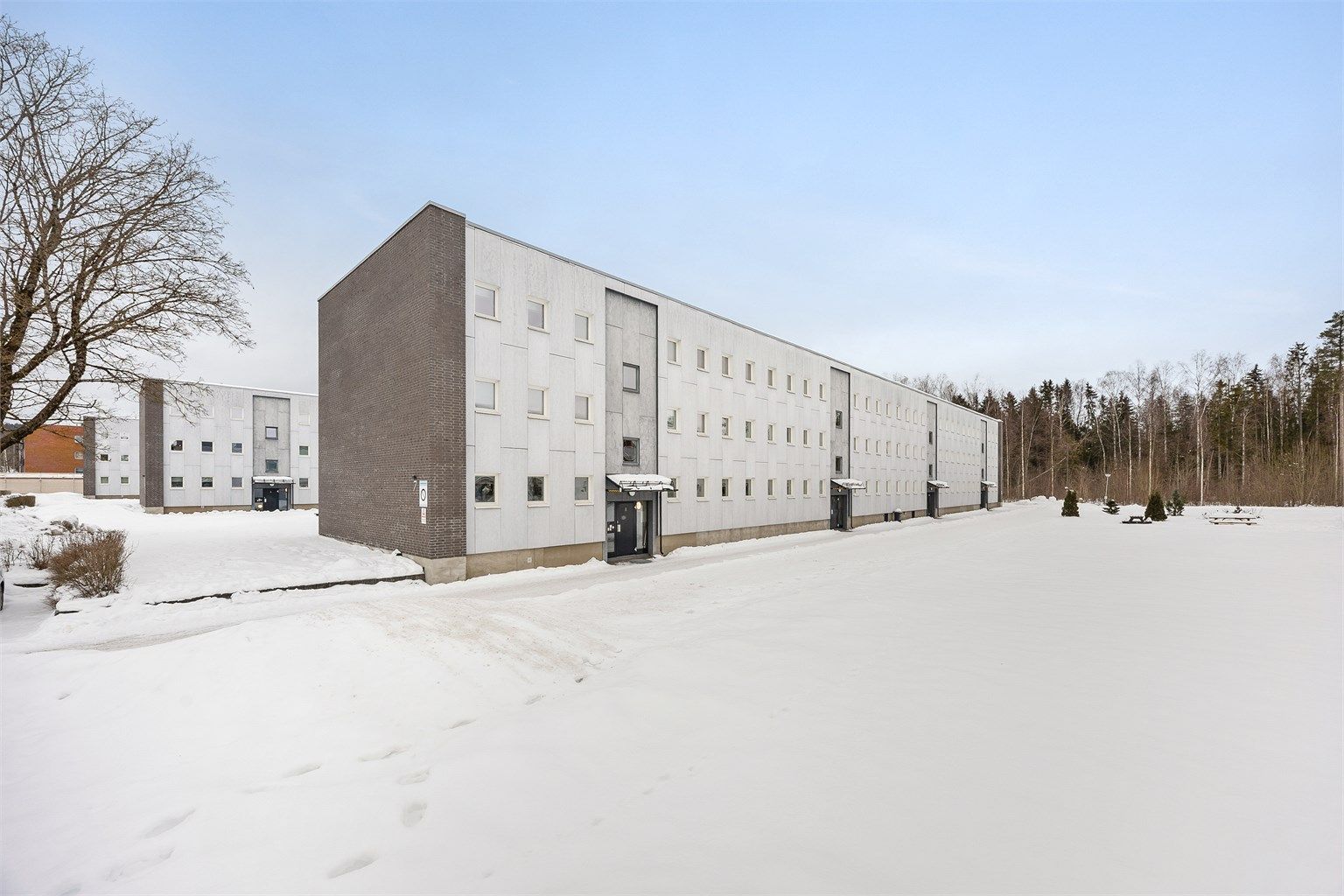 Foto Espen Edin / Image Day