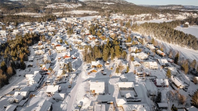 Det er ca. 10 minutter med bil til Asker sentrum med et rikt utvalg av servicetilbud.