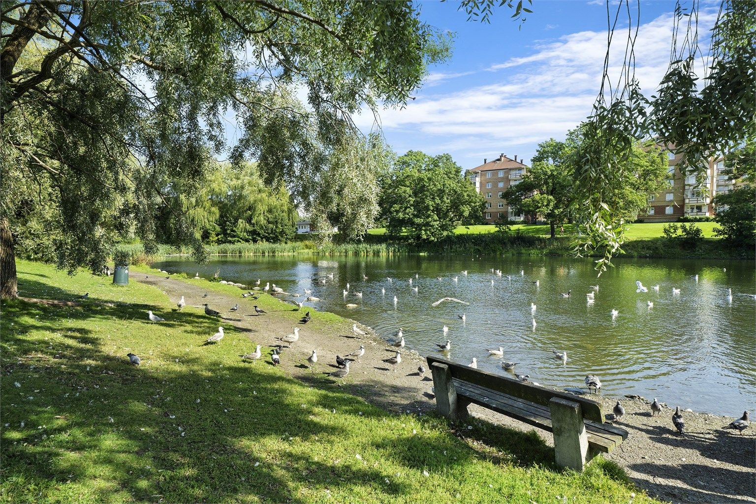 Ved Valle Hovin er det store, flotte grøntområder og den hyggelige Hovindammen