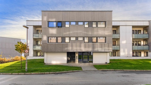 Velkommen til vestre Haugen 38!