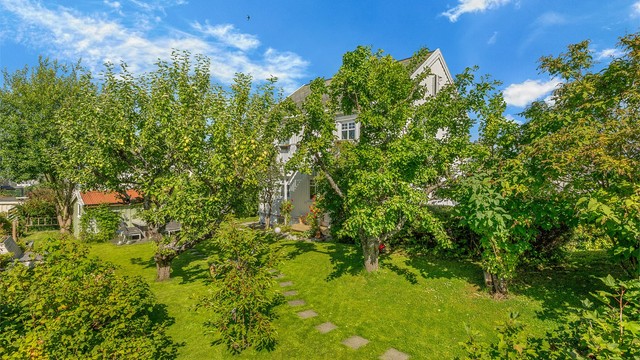 Hagen fremstår frodig og velopparbeidet med frukttrær, busker, blomster og gode solforhold.