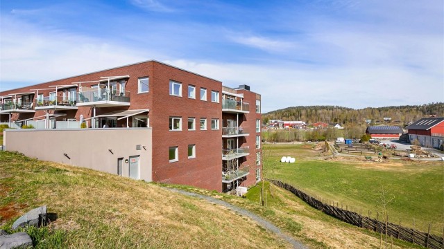 Sameiet er forbehold de over 65