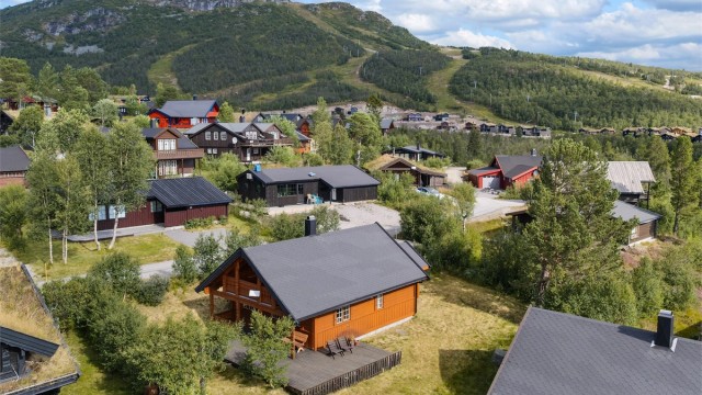 Velkommen til Hovden Fjellpark 64