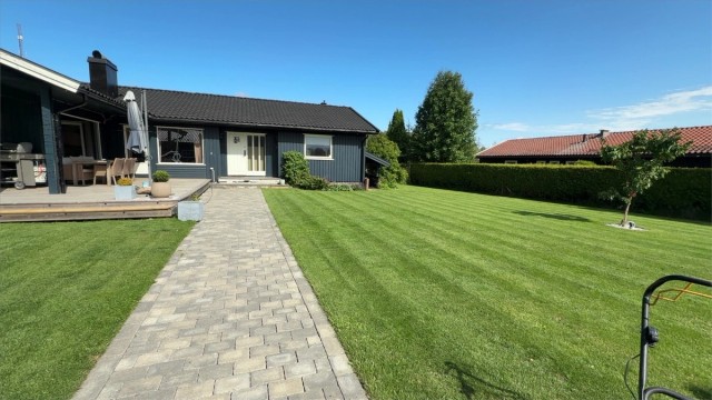 Selgers private sommerbilde