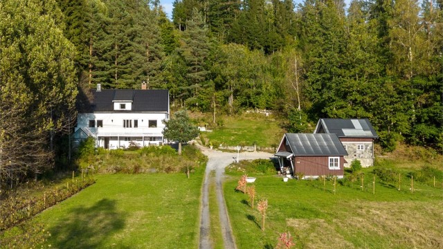 Nydelig allé opp til gårdsplassen hvor det er god plass til flere biler