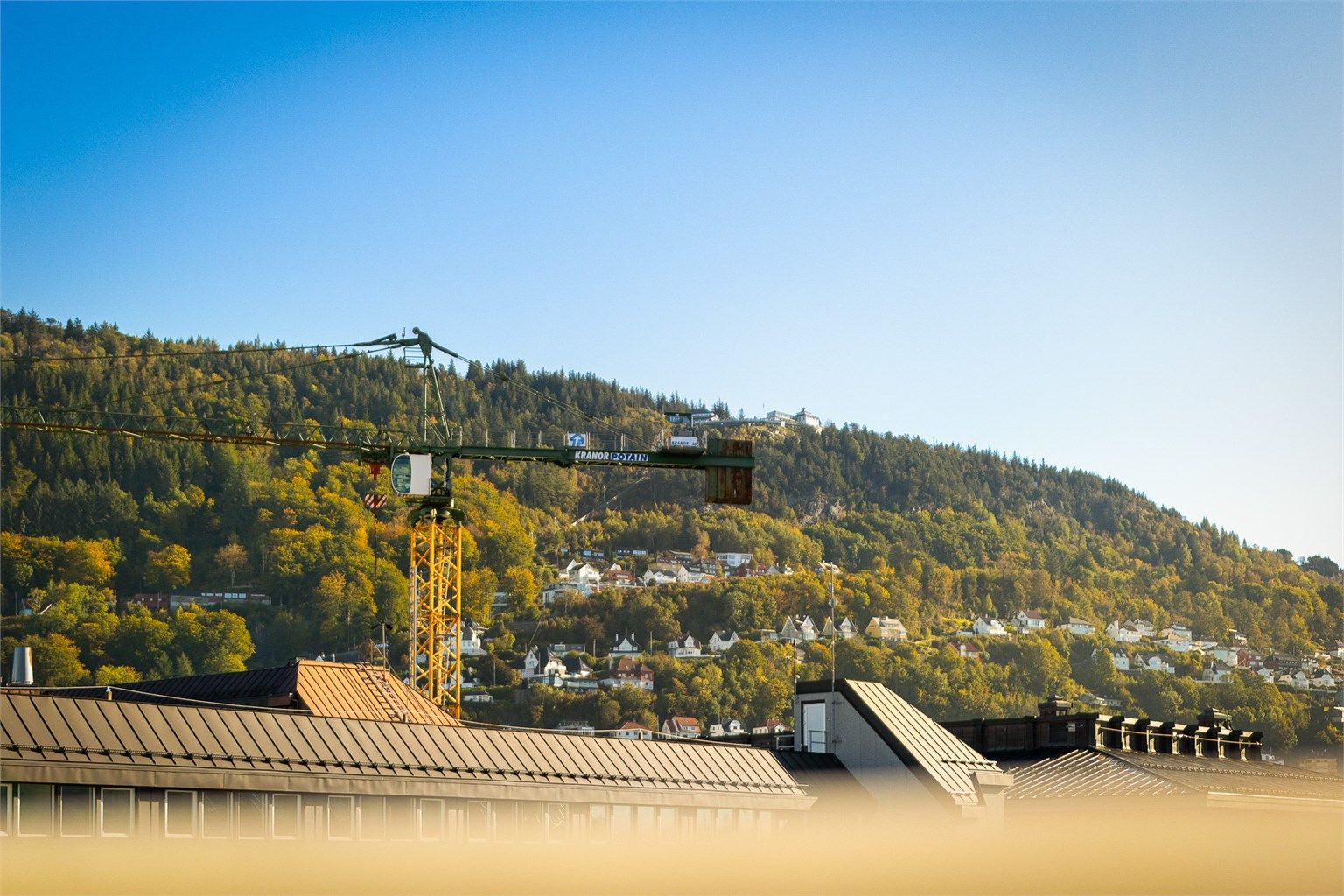Fløyen