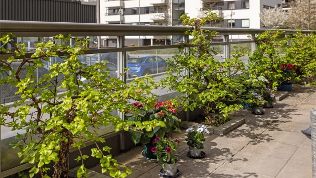 Den romslige terrassen på ca. 20 m² er sydvestvendt og blir en naturlig forlengelse av stuen.