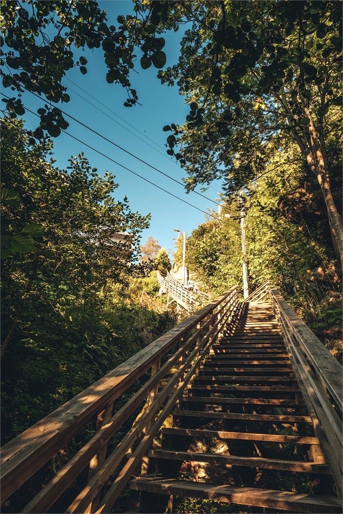 "Trappa" fra Myrerskogveien til Lachmanns vei. Her får du testet melkesyren i beina i intervalløkta
