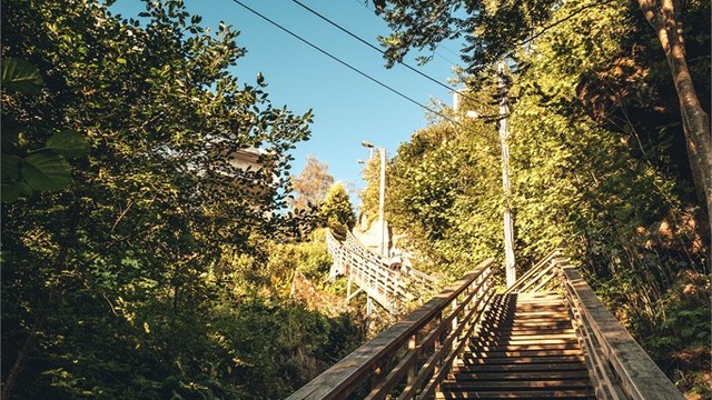 "Trappa" fra Myrerskogveien til Lachmanns vei. Her får du testet melkesyren i beina i intervalløkta