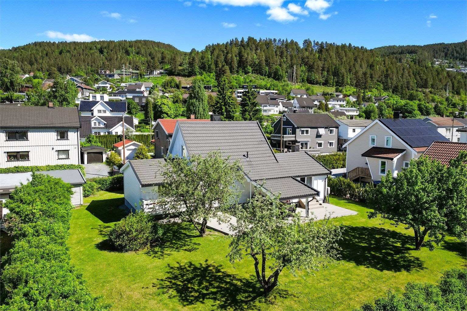 Stor og frodig hage på en tilnærmet flat tomt, opparbeidet med plen og beplantning.