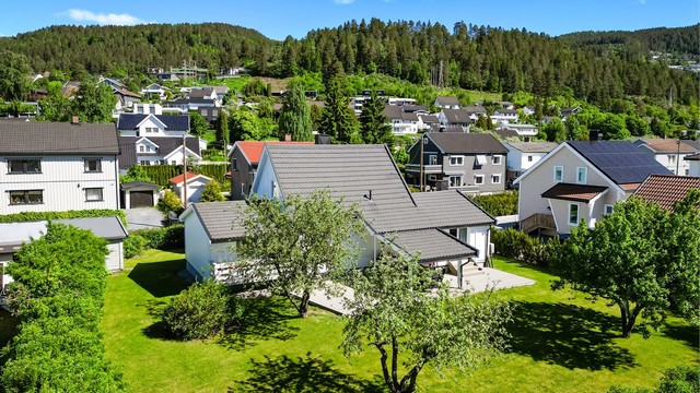 Stor og frodig hage på en tilnærmet flat tomt, opparbeidet med plen og beplantning.