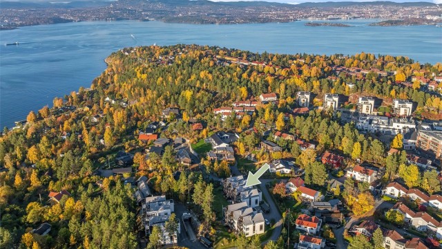 Få minutters gange til kjøpesenter på Tangen med forretninger, kaféer og de fleste servicetilbud, samt kommunesenteret, Tangenten, med bibliotek og helsestasjon.
På Tangen finner man også barnehager, barneskole og ungdomsskole.