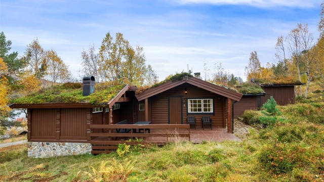 Krogsveen Sunnmøre v/Eiendomsmegler/Fagansvarlig Even Roth har gleden av å presentere Raudlivegen 123 - en fritidsbolig med attraktiv beliggenhet like ved Nysætervannet