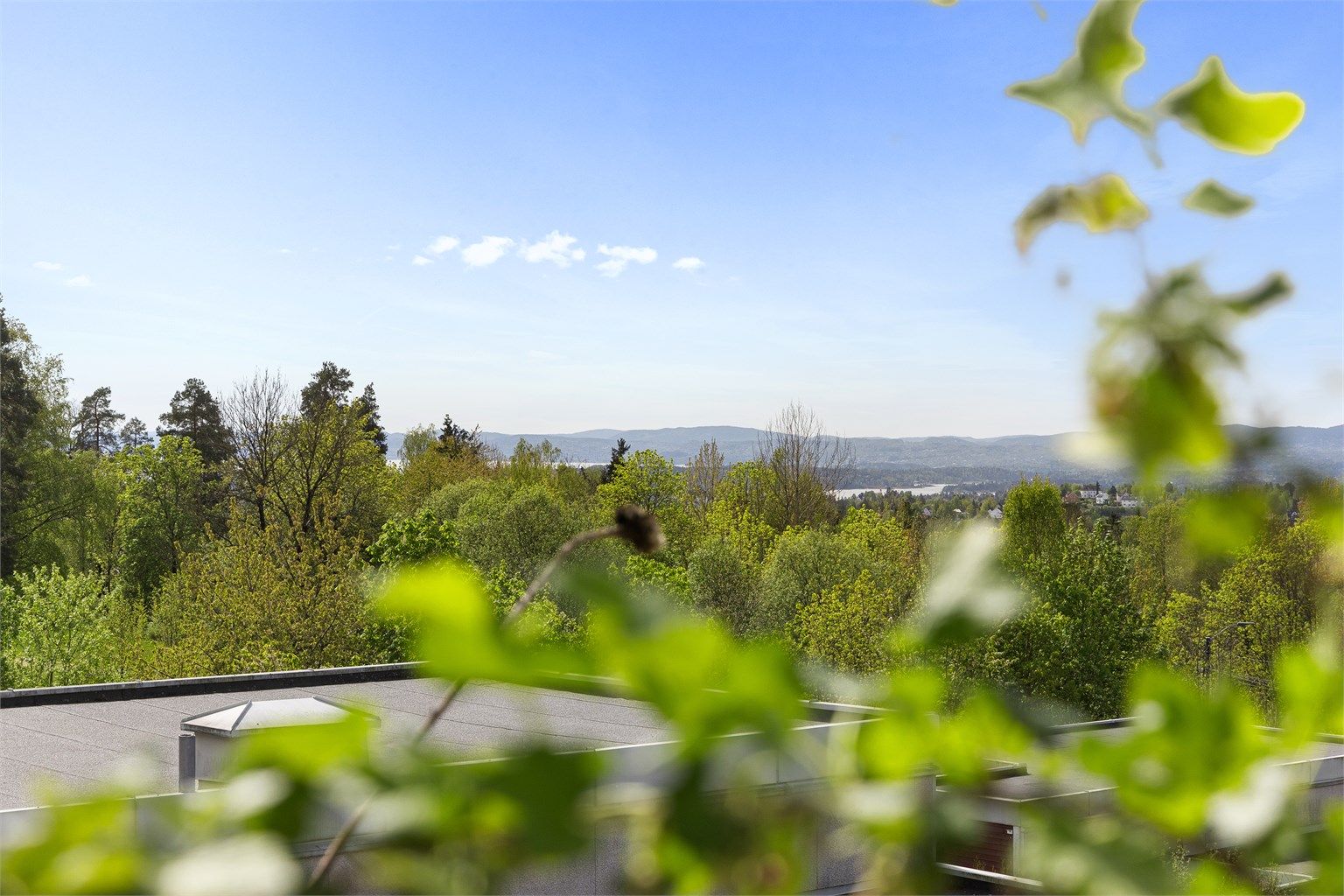 Lysakerelven slynger seg gjennom området og byr på badeplasser, fiskemuligheter og idylliske stier som leder deg helt til Bogstad og videre inn i Nordmarka.