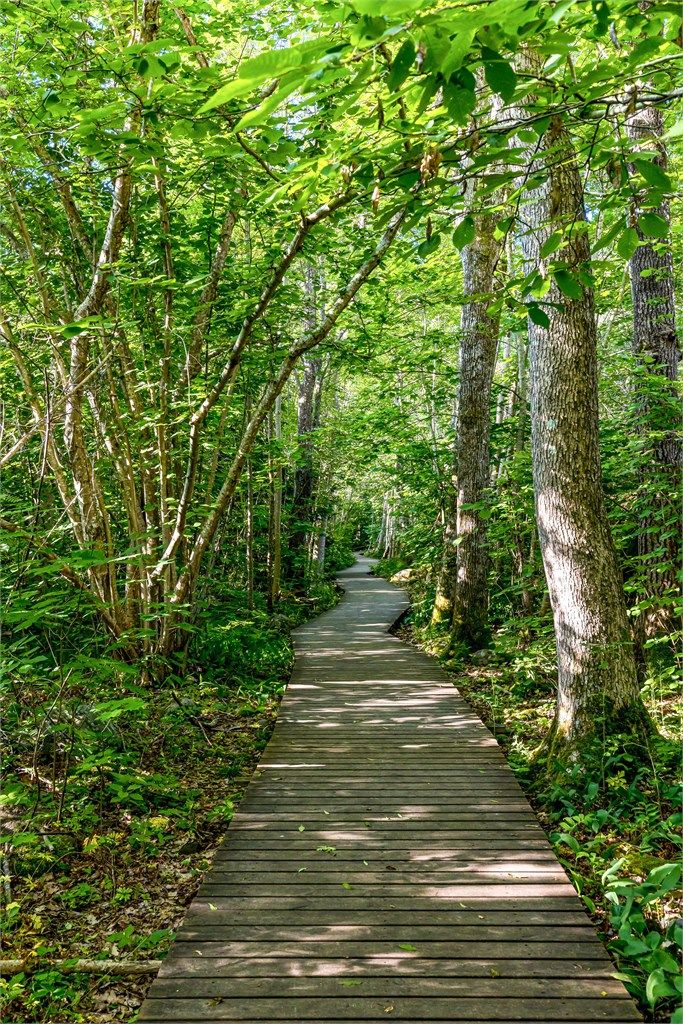 Populært turområde som ofte er besøkt av hundeeiere