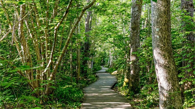 Populært turområde som ofte er besøkt av hundeeiere