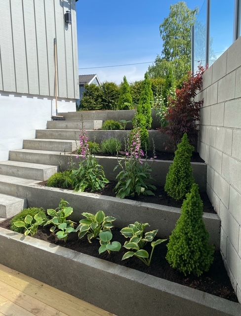 Selgers egne sommerbilder fra hage og uteplasser