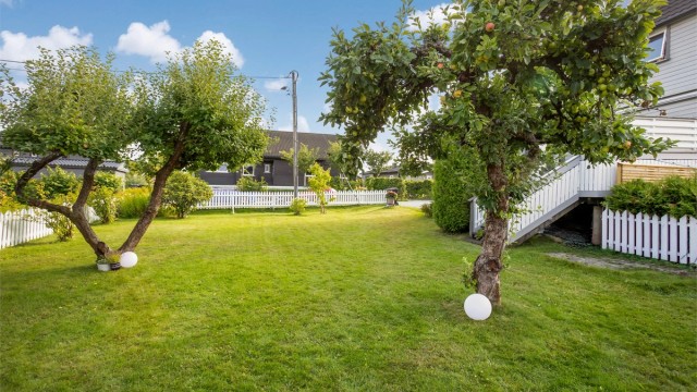De gamle epletrærne gir hagen særpreg og frukt på høsten.