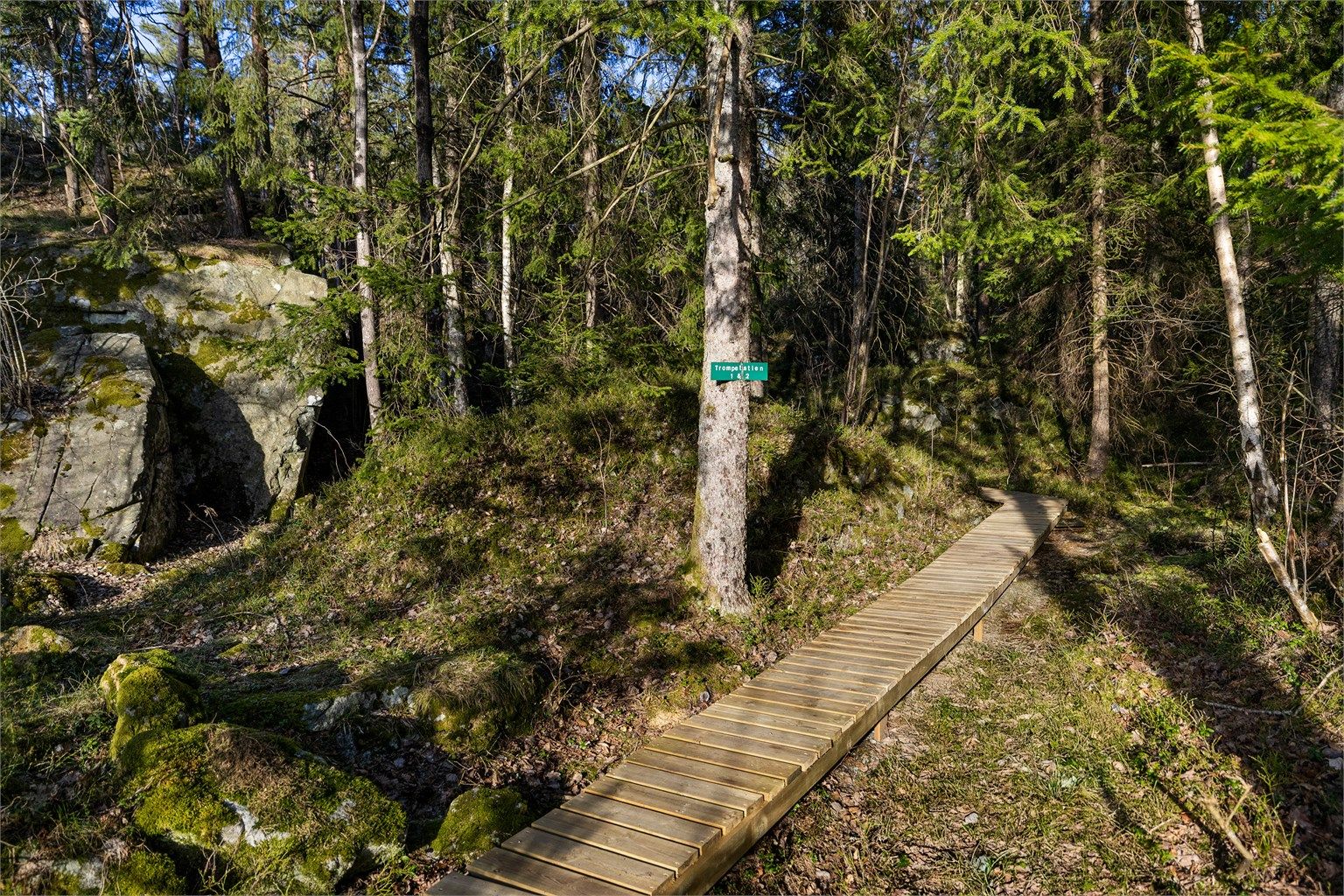 Det er laget fin gangsti opp til hytta.