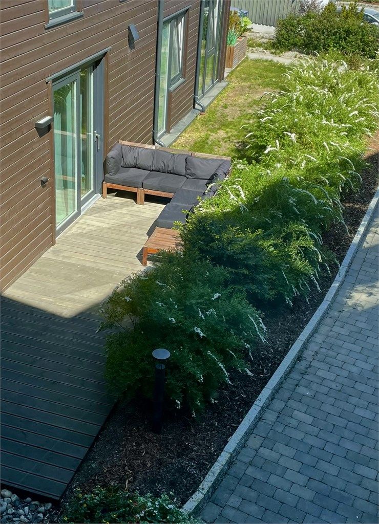 Sommerstemning (selgers bilde)