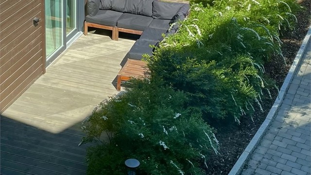 Sommerstemning (selgers bilde)