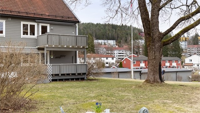 Fellesareal med sjarmerende frukttrær, opparbeidet plen, hellelagte plattinger og flott beplanting.