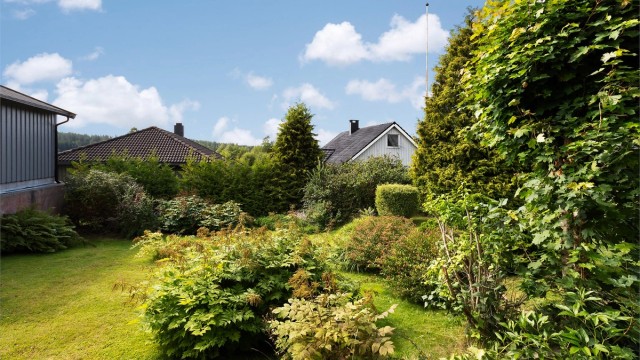Opparbeidet hage med plen og beplantning.