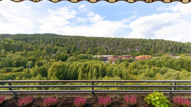 En rolig beliggenhet, samtidig som det kun er 10 minutters gange til Heggedal stasjon.
