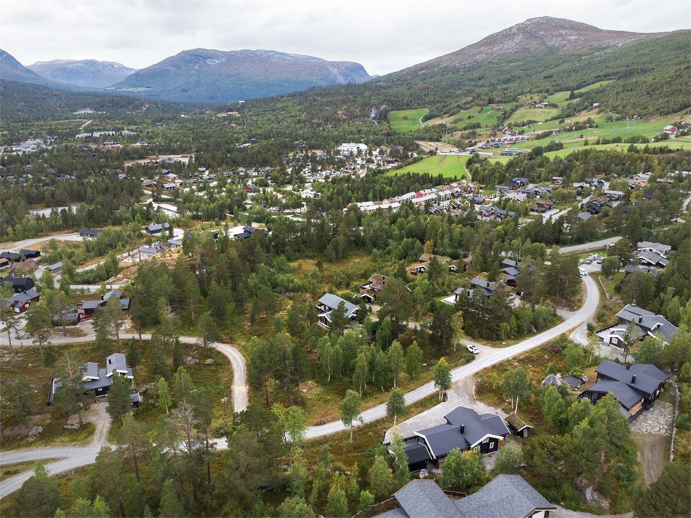 Dronebilde av nærområdet