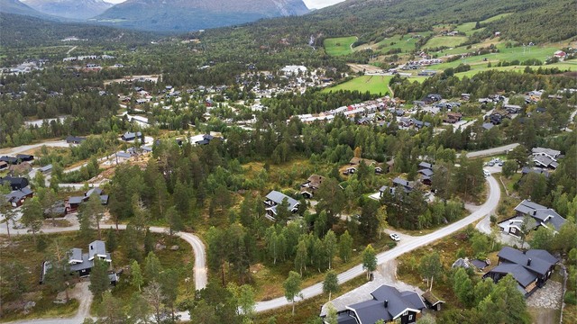 Dronebilde av nærområdet