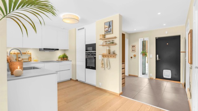 Kjøkken/hall -inngangsdør med katteluke