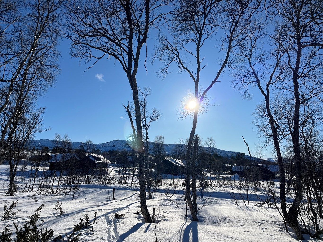 Flott utsikt mot Hartevassnutane. 