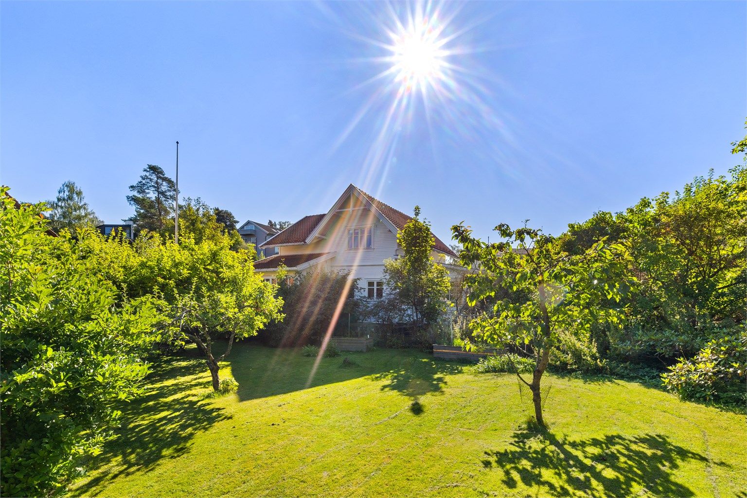 Nydelig og solrik frukthave