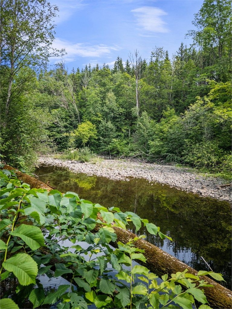 Naturskjønne omgivelser med egen elvebredd.