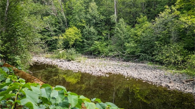 Naturskjønne omgivelser med egen elvebredd.