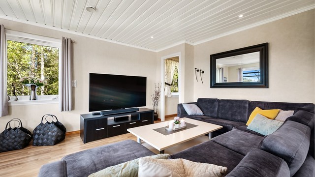 God plass til en stor sofagruppe, perfekt for familiesammenkomster og avslapning.