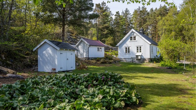 Velkommen til Gjervågskauen 84!
