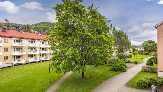 Begge soveromsvinduene vender ut mot borettslagets fellesarealer.