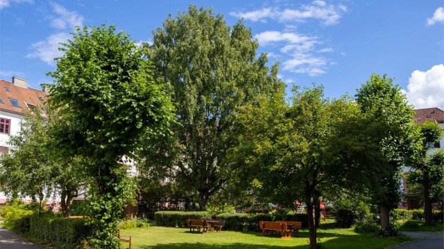 Romslige grøntområder mellom bygårdene er en del av hagebyideen som har gjort Torshovbyen så ettertraktet.
