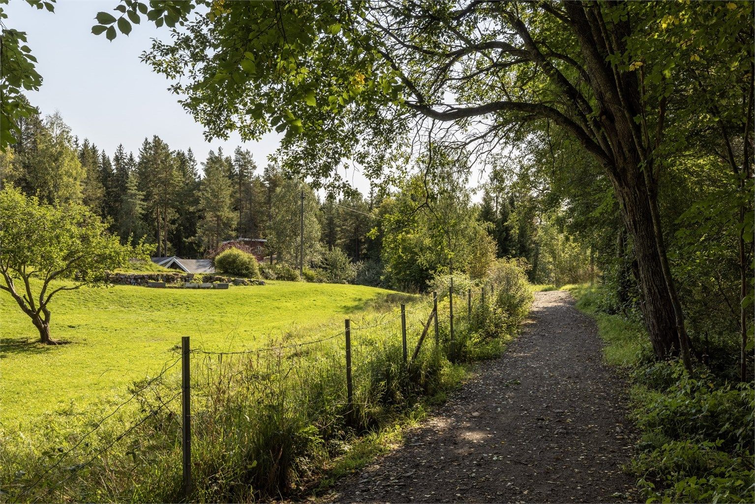 Lillomarkas beliggenhet gjør den svært godt tilgjengelig, og er blitt et sentralt friluftsområde for beboerne fra de nærliggende områder rundt hele marka