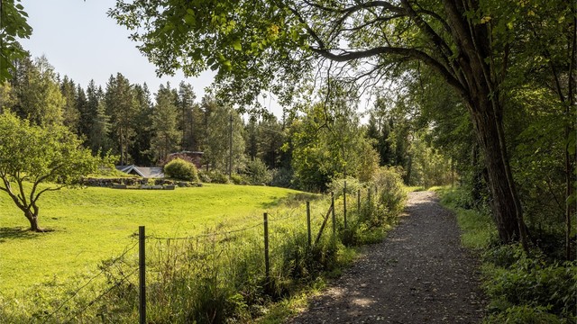 Lillomarkas beliggenhet gjør den svært godt tilgjengelig, og er blitt et sentralt friluftsområde for beboerne fra de nærliggende områder rundt hele marka