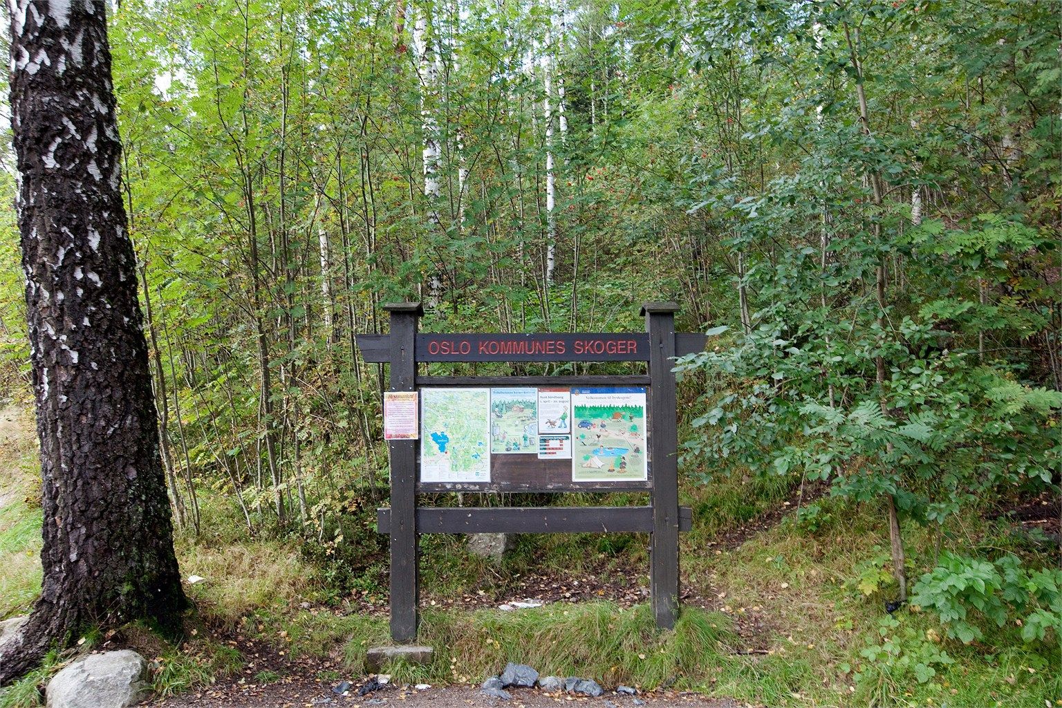 For de naturglade er det flere turstier i nærheten innover langs Maridalsvannet, samt flotte skiløyper på vinterstid