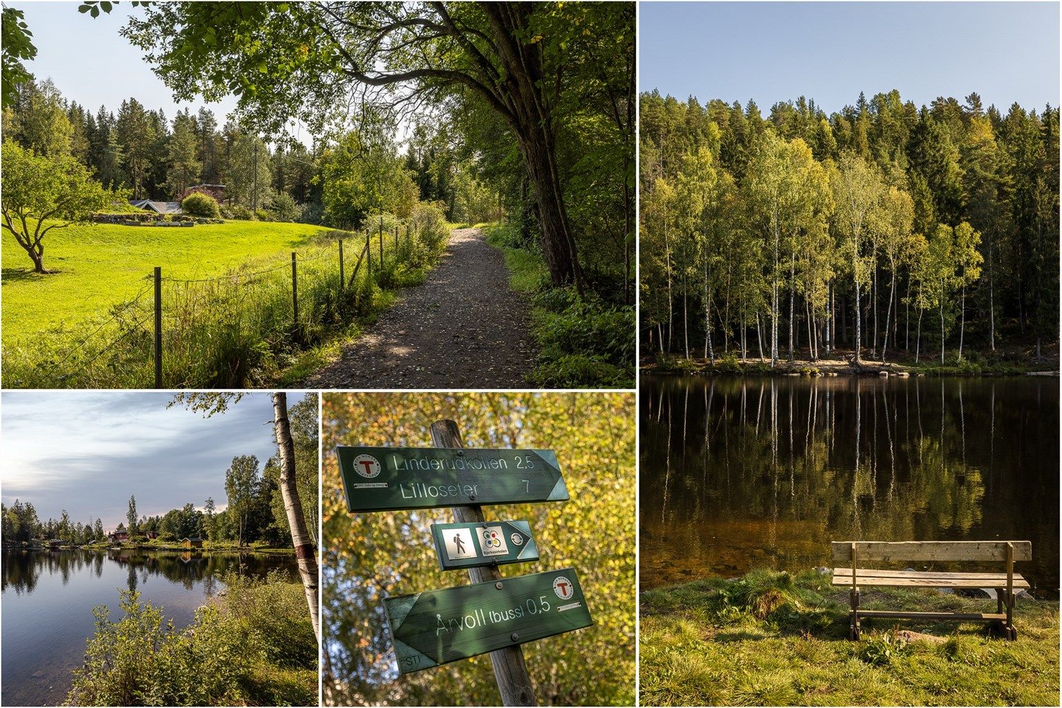 Bosetter du deg her, får du en rolig og tilbaketrukket beliggenhet med marka som nærmeste nabo