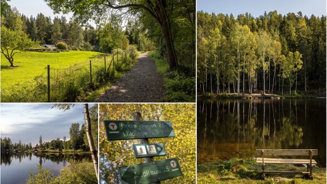 Bosetter du deg her, får du en rolig og tilbaketrukket beliggenhet med marka som nærmeste nabo