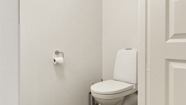 Gjestetoalettet er utstyrt med vegghengt toalett og servant.