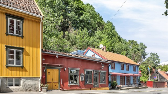 Nærområdet: Fredensborg med sine sjarmerende trehus og restauranter. Trehusbebyggelsen kjennetegner området opp mot Damstredet.