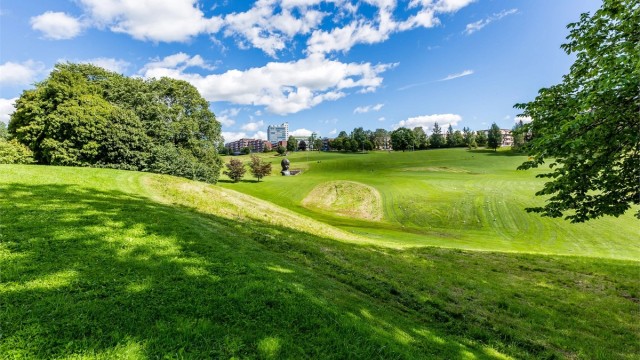 Torshovdalparken er en av Oslos mange grøntområder, denne er i gangavstand fra leiligheten. Perfekt for aking på vinteren!