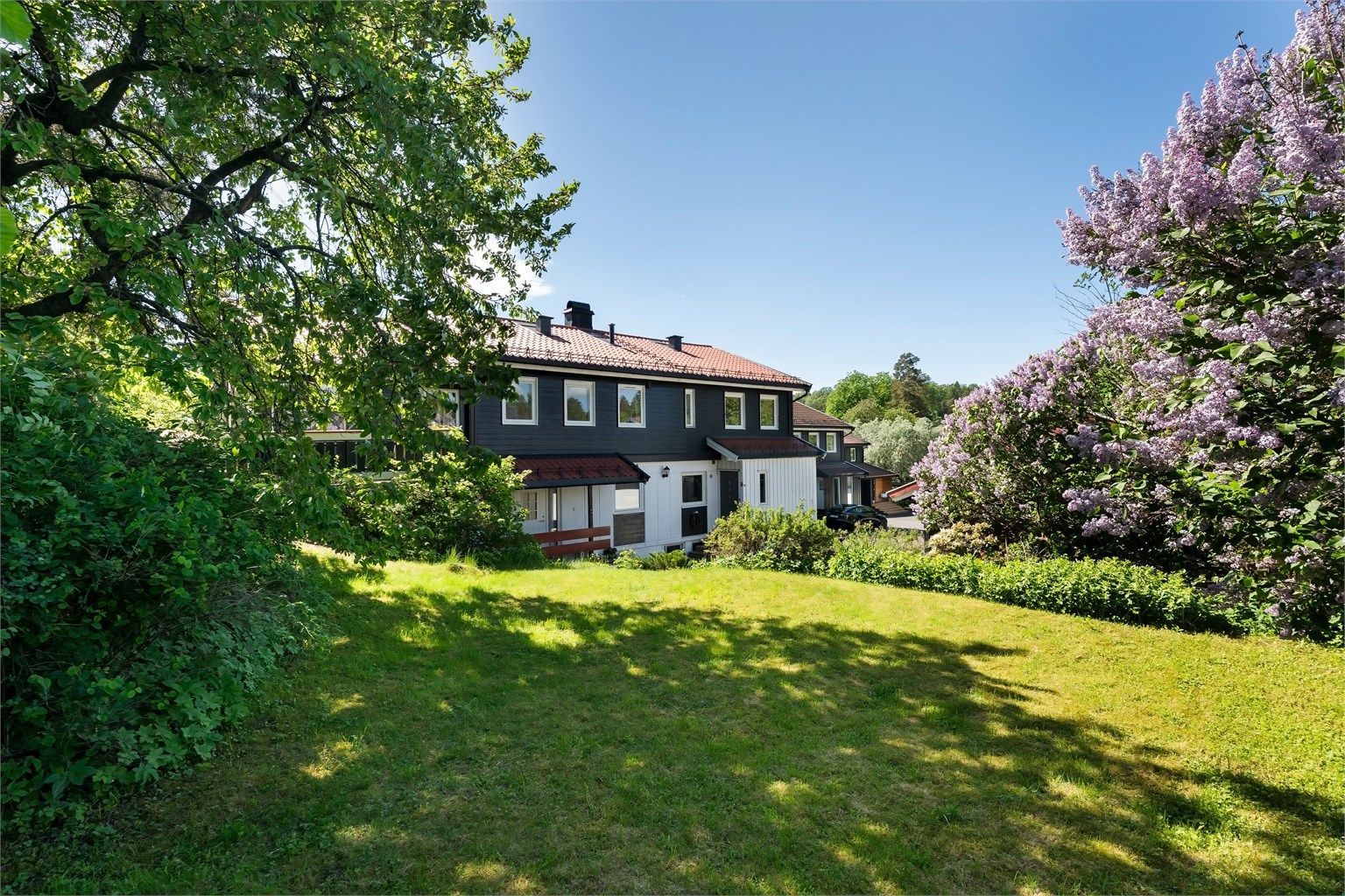 Stor, opparbeidet hage med plen og beplantning.